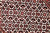 Bidjar Beige Hand Knotted 100 X 1210 Area Rug 254-29708 Thumb 6
