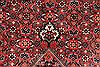 Bidjar Beige Hand Knotted 100 X 1210 Area Rug 254-29708 Thumb 7