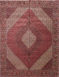 Bidjar Beige Hand Knotted 10'0" X 12'10"  Area Rug 254-29708