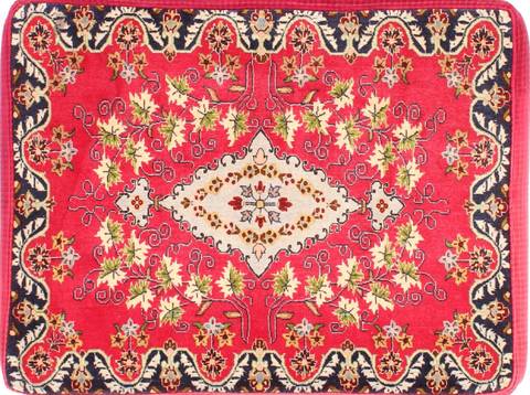 Kashan Red Hand Woven 24 X 32  Area Rug 254-29746 Image 0