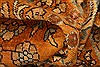 Tabriz Orange Hand Knotted 85 X 122 Area Rug 253-29754 Thumb 1