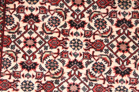 Bidjar Red Runner Hand Knotted 19 X 78 Area Rug 254-29769 Image 2