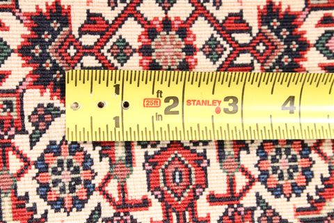 Bidjar Red Runner Hand Knotted 19 X 78 Area Rug 254-29769 Image 4