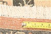 Mahal Red Hand Knotted 97 X 130 Area Rug 253-29795 Thumb 4