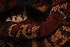 Kunduz Red Square Hand Knotted 310 X 43 Area Rug 253-29828 Thumb 1