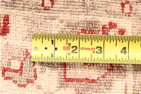 Pishavar Red Runner Hand Knotted 26 X 103 Area Rug 254-29831 Image 5