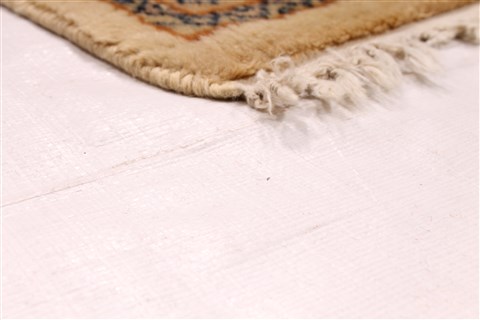 Malayer Beige Hand Knotted 40 X 60  Area Rug 254-29978 Image 5