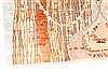 Modern Brown Hand Knotted 40 X 60 Area Rug 254-29981 Thumb 1