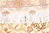 Tabriz Green Round Hand Knotted 910 X 910 Area Rug 254-30003 Thumb 6