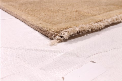 Ziegler Beige Hand Knotted 60 X 89 Area Rug 254-30020 Image 5