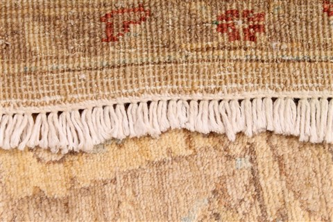 Ziegler Beige Hand Knotted 61 X 88 Area Rug 254-30022 Image 5
