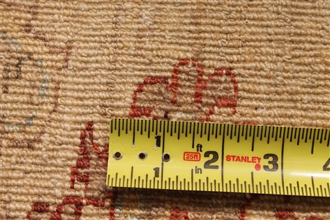Ziegler Beige Hand Knotted 61 X 88 Area Rug 254-30022 Image 6