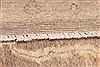 Pishavar Beige Hand Knotted 510 X 90 Area Rug 254-30025 Thumb 5