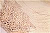 Pishavar Beige Oval Hand Knotted 68 X 102 Area Rug 254-30041 Thumb 10