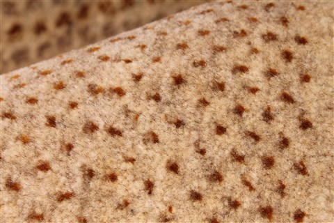 Gabbeh Beige Hand Knotted 63 X 94 Area Rug 254-30044 Image 9