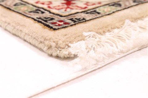 Mahi Beige Hand Knotted 30 X 50 Area Rug 254-30054 Image 5