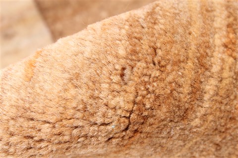 Gabbeh Beige Hand Knotted 23 X 49 Area Rug 254-30059 Image 8