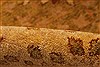 Agra Brown Hand Knotted 82 X 104 Area Rug 254-30094 Thumb 10