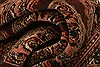 Jaldar Red Hand Knotted 41 X 63 Area Rug 253-30111 Thumb 1