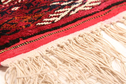 Bokhara Red Hand Knotted 40 X 55 Area Rug 253-30119 Image 5