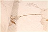 Tabriz Beige Hand Knotted 115 X 163 Area Rug 254-30144 Thumb 11
