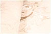 Tabriz Beige Hand Knotted 115 X 163 Area Rug 254-30144 Thumb 12