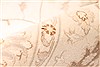 Tabriz Beige Hand Knotted 115 X 163 Area Rug 254-30144 Thumb 15