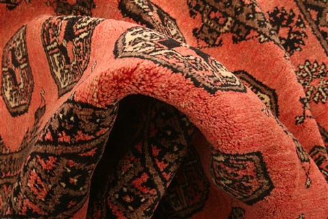 Bokhara Red Hand Knotted 39 X 61 Area Rug 100-30184 Image 1