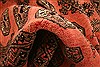 Bokhara Red Hand Knotted 39 X 61 Area Rug 100-30184 Thumb 1