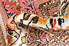 Bakhtiar Multicolor Hand Knotted 85 X 1011 Area Rug 255-30185 Thumb 14