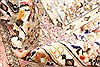 Bakhtiar Multicolor Hand Knotted 85 X 1011 Area Rug 255-30185 Thumb 3