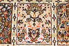 Bakhtiar Multicolor Hand Knotted 85 X 1011 Area Rug 255-30185 Thumb 7