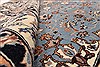 Nain Beige Hand Knotted 49 X 68 Area Rug 255-30186 Thumb 1