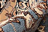 Nain Beige Hand Knotted 49 X 68 Area Rug 255-30186 Thumb 2
