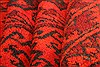 Bokhara Red Hand Knotted 50 X 66 Area Rug 100-30189 Thumb 2