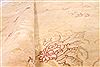 Tabriz Beige Round Hand Knotted 131 X 131 Area Rug 254-30233 Thumb 5