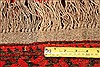 Bokhara Red Hand Knotted 411 X 65 Area Rug 253-30242 Thumb 5