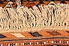 Baluch Brown Hand Knotted 37 X 55 Area Rug 253-30247 Thumb 7