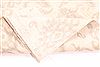 Pishavar Beige Hand Knotted 99 X 142 Area Rug 254-30273 Thumb 6