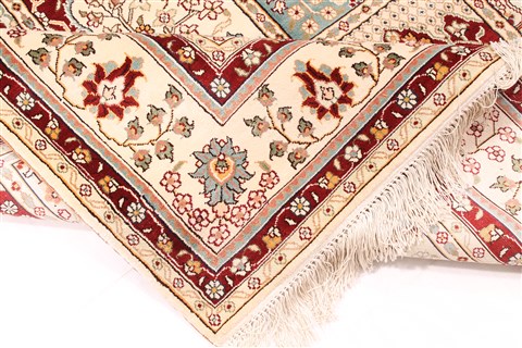 Bakhtiar Multicolor Hand Knotted 43 X 64 Area Rug 254-30284 Image 9