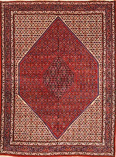 Bidjar Red Hand Knotted 8'4" X 11'0"  Area Rug 255-30312