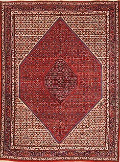 Bidjar Red Hand Knotted 8'4" X 11'0"  Area Rug 255-30312