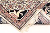 Bidjar Beige Hand Knotted 911 X 142 Area Rug 250-30374 Thumb 12