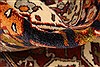 Ghoochan Brown Hand Knotted 43 X 63 Area Rug 255-30385 Thumb 6