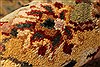 Agra Beige Hand Knotted 120 X 152 Area Rug 250-30435 Thumb 3