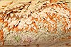 Kerman Beige Hand Knotted 90 X 201 Area Rug 250-30449 Thumb 8