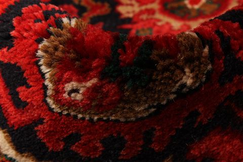 Tabriz Red Hand Knotted 1010 X 141 Area Rug 250-30452 Image 8
