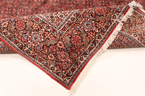 Bidjar Beige Hand Knotted 100 X 135 Area Rug 250-30482 Image 1