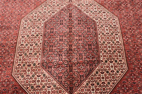 Bidjar Beige Hand Knotted 100 X 135 Area Rug 250-30482 Image 8