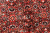 Bidjar Beige Hand Knotted 100 X 135 Area Rug 250-30482 Thumb 12